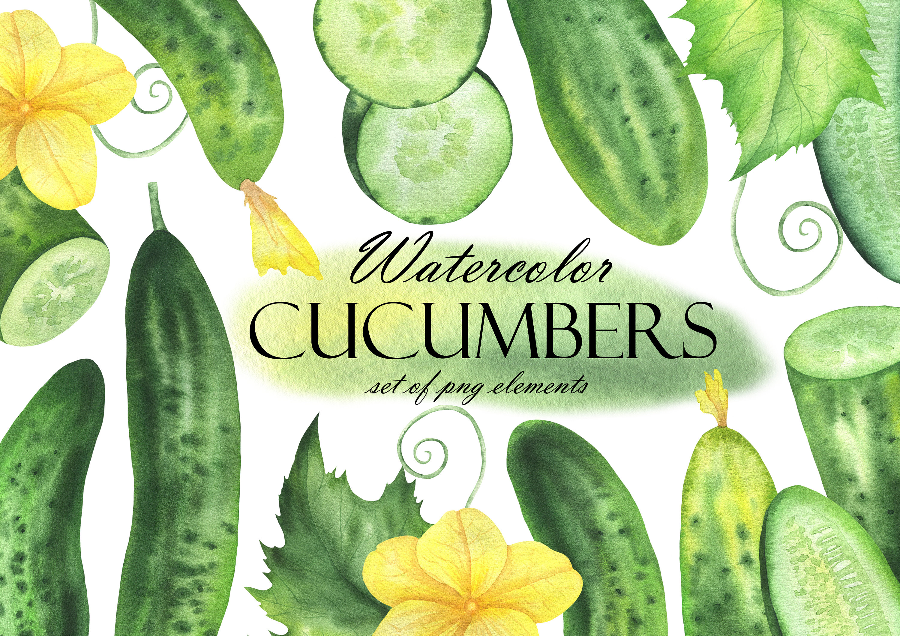 Cucumber Plant Clipart Borders
