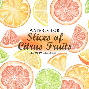 Acuarela Citrus Fruit Clipart, Rodajas de Limón Cítrico, Naranja, Pomelo, Lima, Frutas Tropicales Clip Art, Decoración cocina PNG 138