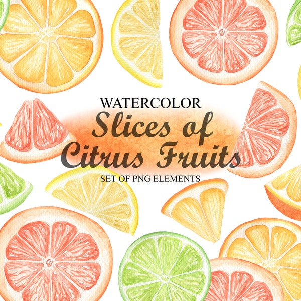 Watercolor Citrus Fruit Clipart, Slices Of Citrus Lemon, Orange, Grapefruit, Lime, Tropical Fruits Clip Art, Kitchen Decor PNG 138