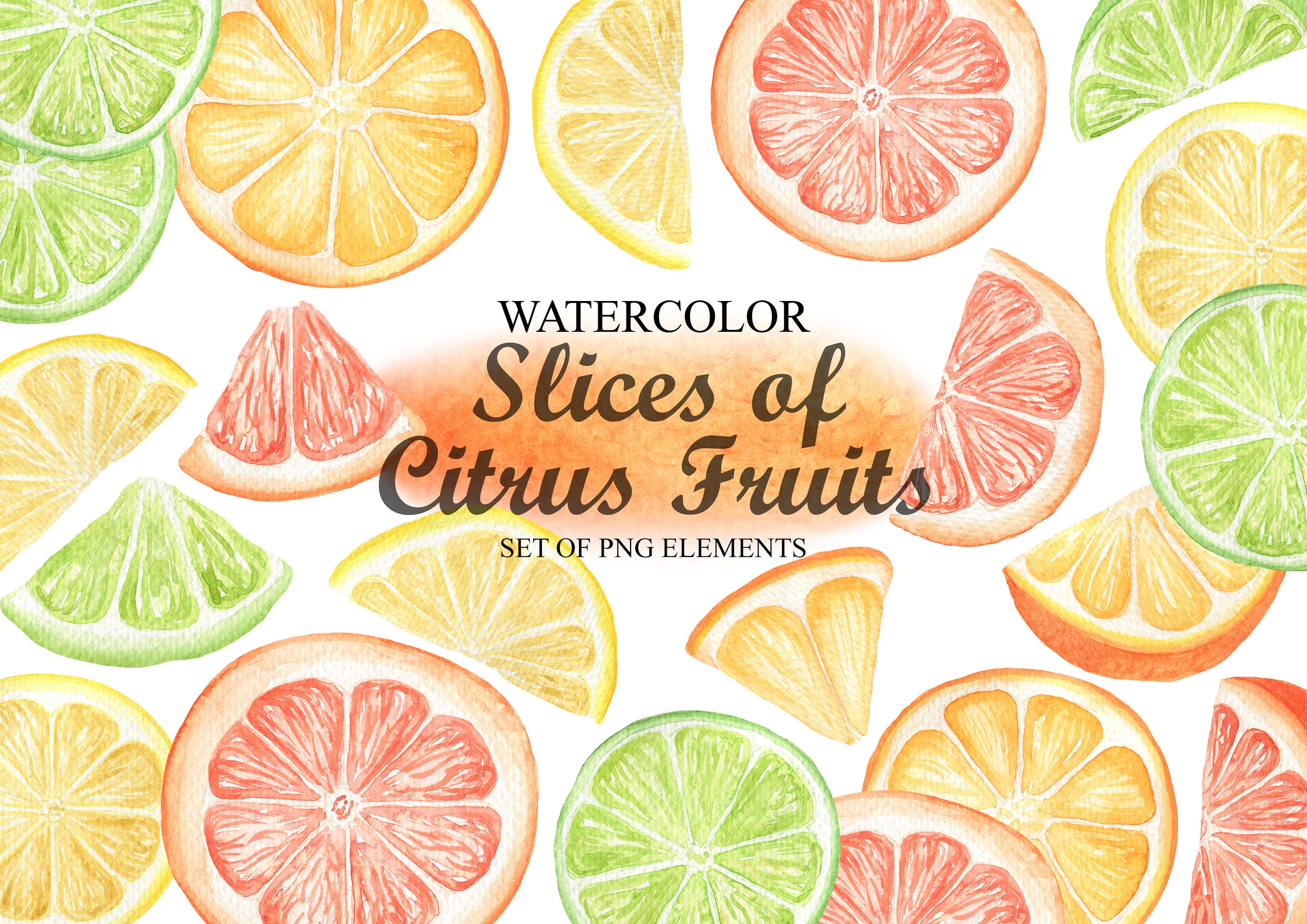 Watercolor Citrus Fruit Clipart, Slices of Citrus Lemon, Orange