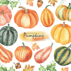 Fall Pumpkin PNG Clipart. Watercolor Autumn Orange And Green Pumpkins, Vegetables Digital Clip Art, Leaves, Berries, Halloween PNG 44