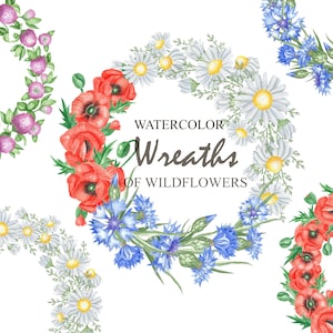 Couronne aquarelle de camomille, coquelicot, cornflower, trèfle, fleurs sauvages Frame Clipart, Card Making, Spring Floral Frame Clip Art PNG 05