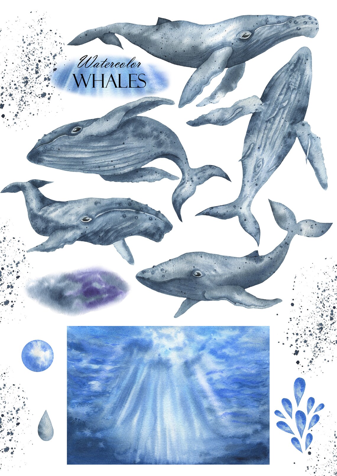 Whales Watercolor Clipart, Sea Animals Clip Art, Ocean Life, Underwater ...
