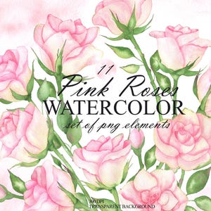 Pink roses and leaves watercolor clipart set, Rose clip art bundle, Floral watercolour art, Digital download, Commercial use PNG