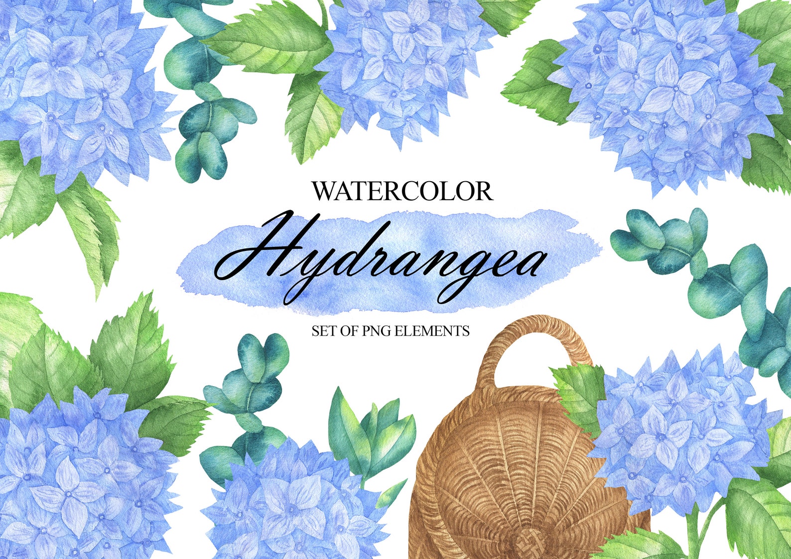 Hydrangea Watercolor Clipart Blue Flower Clip Art Floral - Etsy