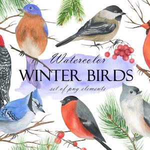Weihnachtsclipart, Aquarellvogelillustration, Winterwald, Kardinal png, Weihnachten png