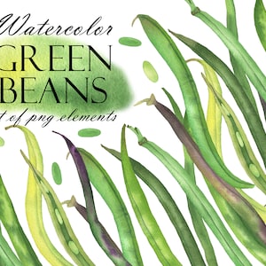 Watercolor Green Beans Clipart, Bean Clip Art, Fresh Vegetables, Culinary Clip Art, Food Clipart, Green Clip Art, Healthy Food PNG 278