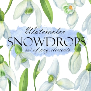 Aquarelle perce-neige Clipart, fleurs de printemps Clip Art, bouquet de perce-neige, perce-neige blanc de Pâques, invitation de mariage, carte de voeux, PNG 277