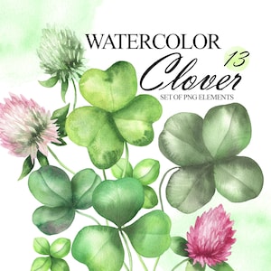 Clipart aquarelle de trèfles, fleurs et feuilles de trèfle, clipart trèfle, Saint-Patrick, fleurs des prés, feuilles de trèfle à quatre feuilles PNG 388