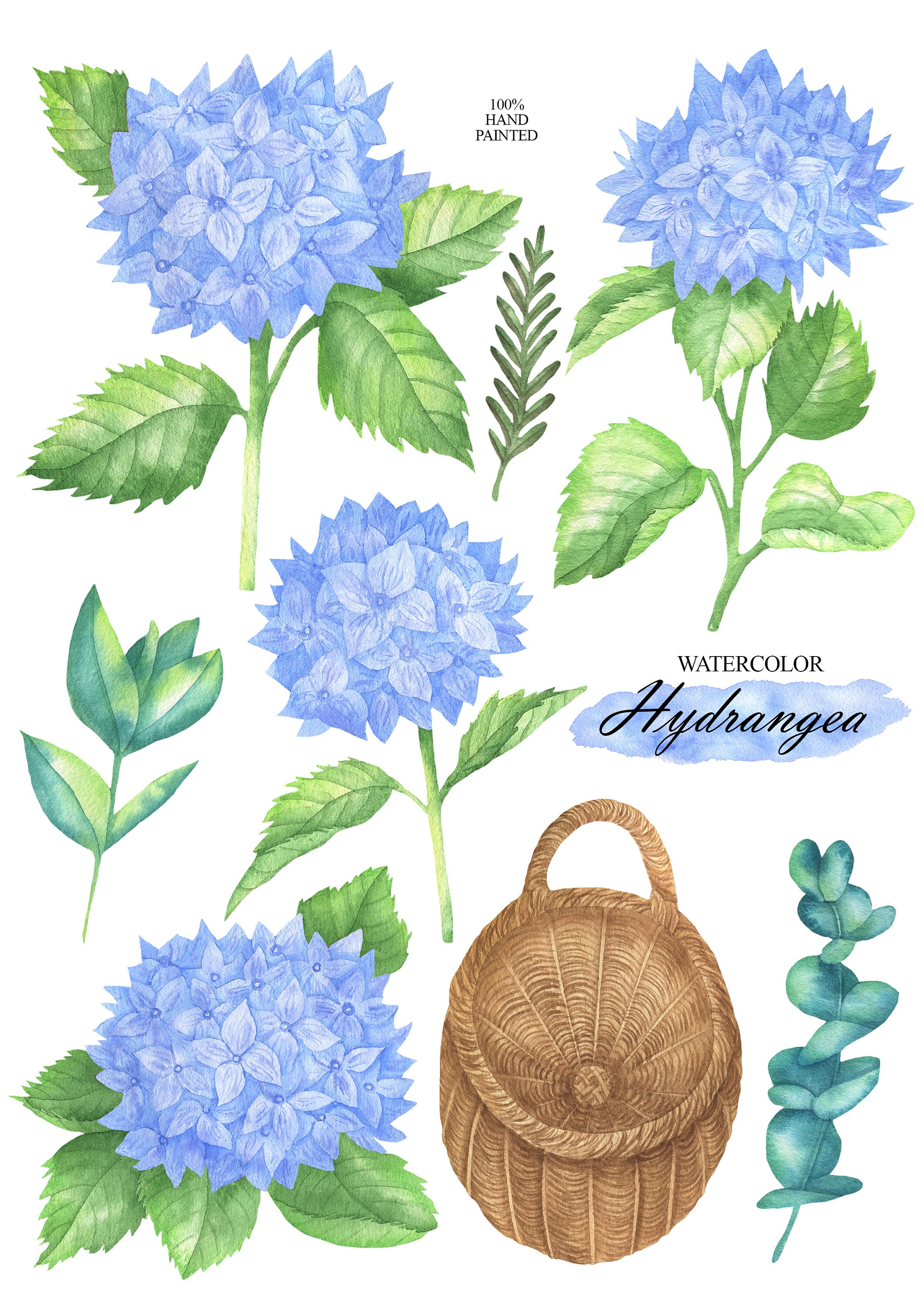 Hydrangea Watercolor Clipart Blue Flower Clip Art Floral - Etsy