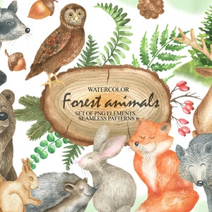 Acuarela bosque animales clipart gráficos, bosque bebé animal clip arte, zorro, conejito, oso, mapache, ardilla, pintado a mano PNG 102