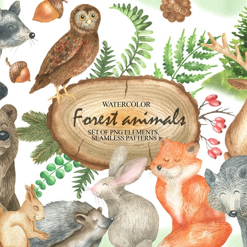 Watercolor Woodland Clipart Forest Animals Clipart Woodland - Etsy