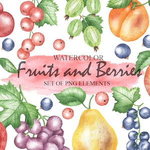 Watercolor Fruits And Berries Clipart, Summer fresh Cherry, Strawberry, Currant, Apricot, Apple, Grape, Pear, Plum PNG 12
