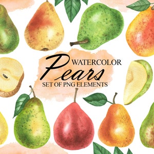 Clipart pera acquerello, pere ClipArt Frutti, Fette di pera, Arredamento cucina, Libro di cucina, Pianificatore, Adesivi PNG 175