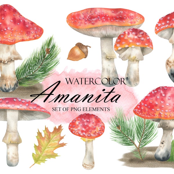 Watercolor Amanita Clipart, Fly Agaric Clip Art, Woodland Red Mushroom, Fall Forest Clip Art, Floral Autumn Clipart, PNG 257