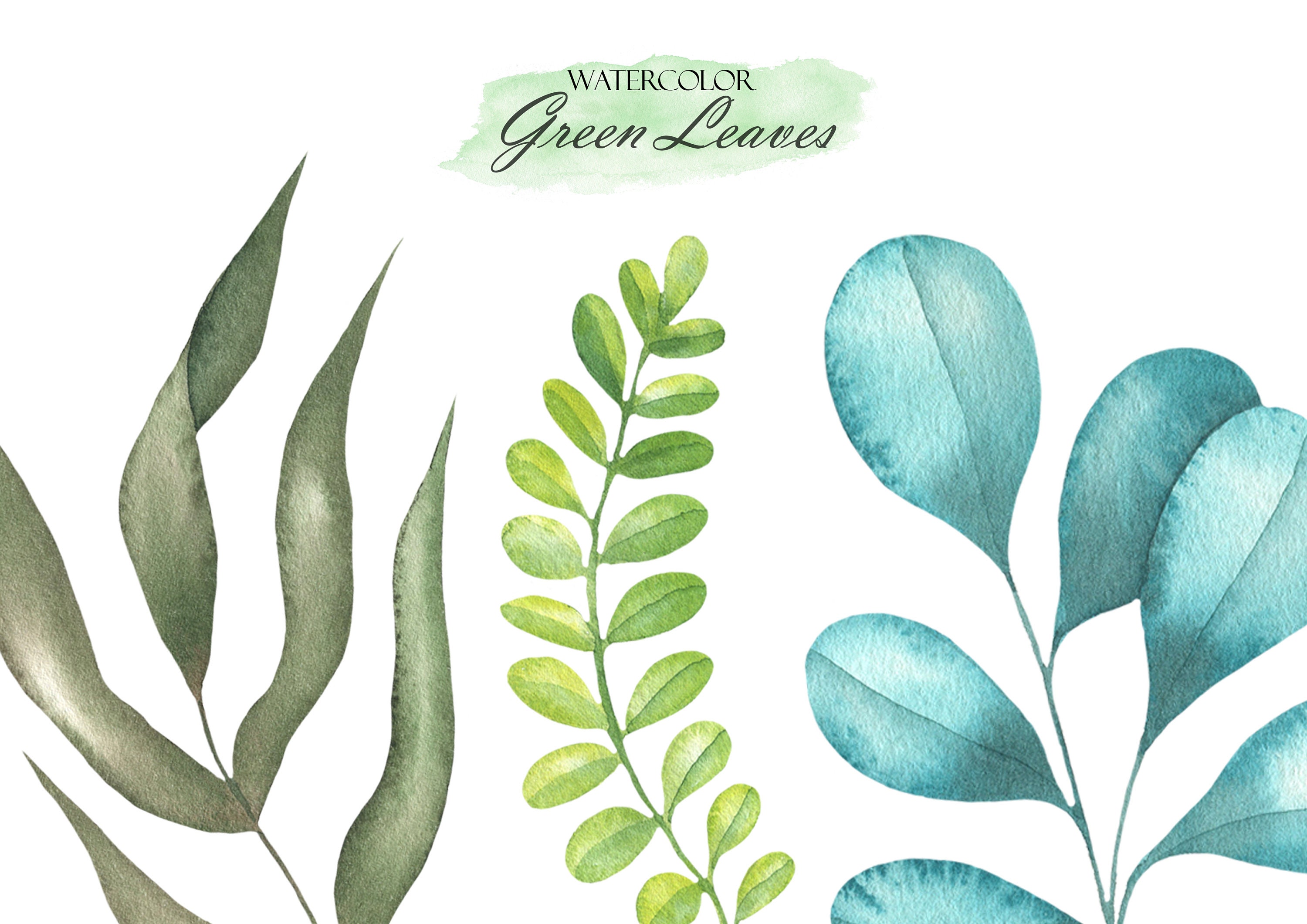Watercolor Greenery Clipart, Green Leaves, Branches, Foliage Clip Art ...