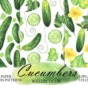 May include: Three seamless digital paper patterns featuring watercolor illustrations of green cucumbers, leaves, and yellow flowers. The patterns are 12x12 inches and are available in JPG and PNG formats.