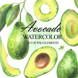 Aquarell Avocado Clip Art, Avocado Scheiben und Blätter Clipart, Avocado Druck Illustration, Tropische Früchte Set, Gesundes veganes Essen, PNG 387