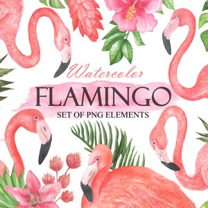 Flamingo Clipart, Watercolor Tropical Pink Flowers And Leaves Clip Art, Exotic Clipart, Tropical Floral, Wedding Invitation PNG 159