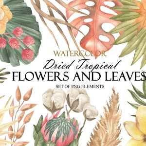 Clipart floreale Boho dell'acquerello, foglie e fiori tropicali secchi, ClipArt di foglie di palma, matrimonio Boho, PNG 155