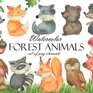 Watercolor Forest Animal For Baby Clip Art, Woodland Little Animals Clipart, Fox, Bunny, Bear, Raccoon, Squirrel, Forest Florals PNG 205