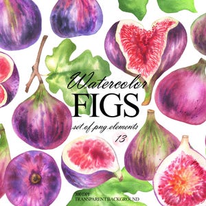 Handpainted fig clipart set, Elegant watercolor fig graphics, Figs bundle, Watercolor fruits illustrations, Instant download clip art