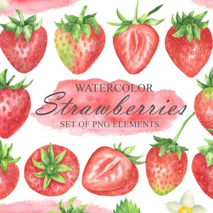 Erdbeere Aquarell Clipart, Berry ClipArt, Sommer Erdbeere Clipart, frisches Obst, kommerzielle Nutzung, von Hand bemalt PNG 153