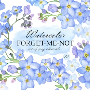 Watercolor forget me not clipart, Blue flowers clip art, Spring Flowers set, Floral clipart, Flower Arrangements, PNG 341