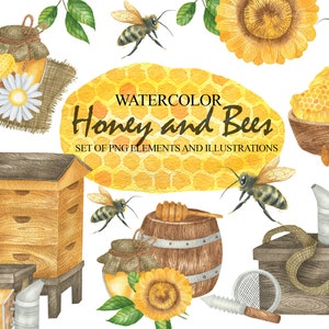 Aquarel Honing, Bee Clipart, Honingraat, Bijenkorf, Hand Geschilderde Digitale Illustratie, Instant Download, DIY Invites, Scrapbooking, Summer PNG 97