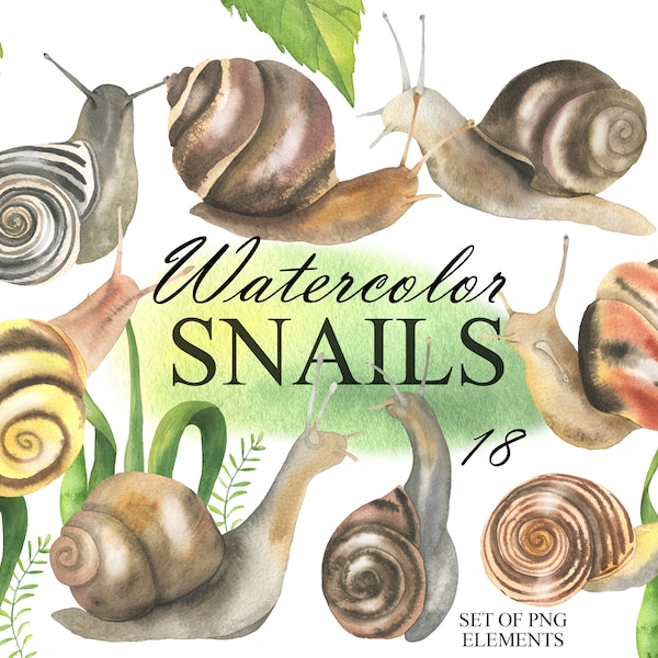 Aquarelle escargot clipart, clipart escargots colorés, clipart limace de jardin, impression escargot, clipart floral printemps, animaux de printemps, PNG 345