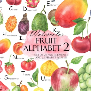 Acuarela Fruta Alfabeto Clipart 2, Frutas ABC, Póster Del Alfabeto, Cartas De Aprendizaje, Decoración De Vivero, Arte Mural Imprimible PNG 279