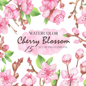 Kirschblüte Clipart, Aquarell Rosa Sakura Blumen, Frühlingsblumen Clip Art, Hochzeitseinladung, Scrapbooking, Ostern Set PNG 121