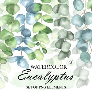 Watercolor Eucalyptus leaves clipart, Greenery clip art, Eucalyptus bouquet, Green leaves, Floral clipart, Wedding invitation, PNG 334