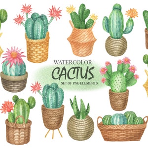 Aquarelle Cactus Clipart, Tropical Desert Exotic Plants With Flowers In The Pots, Wedding Invitation, Card Making Set PNG 103
