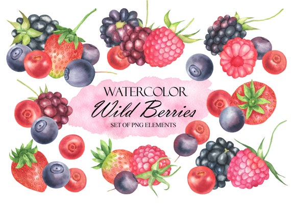 Seamless Vintage Watercolor Pattern Wild Berries Stock Illustration  1187040679