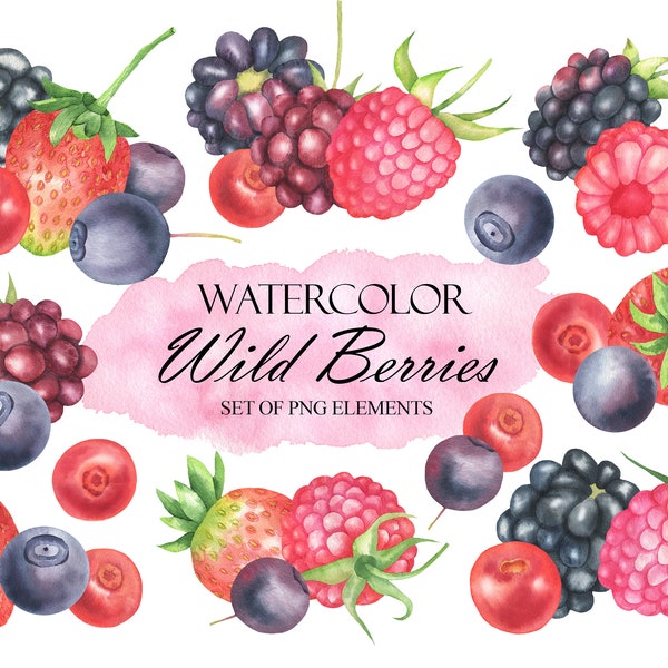 Watercolor Wild Berry Clipart, Forest Blueberries, Strawberries, Raspberries, Blackberries, Cranberries, Summer Fresh Berries, PNG 237