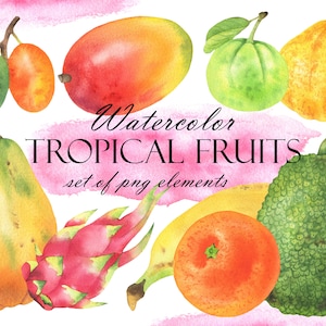 Aquarell Tropische Früchte Clipart, Sommer Frische exotische Früchte Clip Art, Fruchtige Illustration, PNG 268