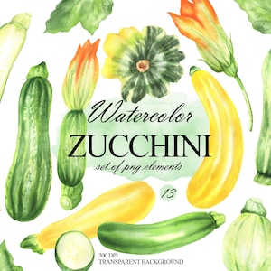 Hand-painted watercolor zucchini clipart set, Summer harvest zucchini clip art bundle, Garden zucchini graphics, Vegetable illustrations