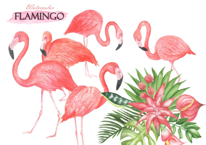 Flamingo Clipart Watercolor Tropical Pink Flowers and Leaves - Etsy