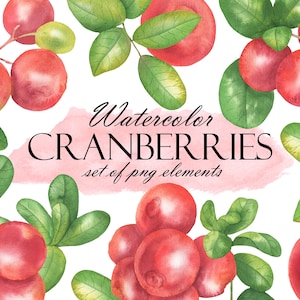 Watercolor Cranberry Clipart, Forest Lingonberry, Cranberries Branches, Summer Fresh Berries And Leaves, Wild Berries PNG 235