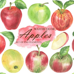 Aquarelle Pommes Clipart, Pomme Clip Art Fruits, Tranches de Pomme, Décor de cuisine, Livre de cuisine, Planificateur, Autocollants PNG 171