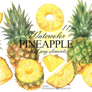 Tropisches Aquarell Ananas Clipart-Set, lebendige Ananas Grafikpaket, Sommerfrucht Clip Art, Ananasdesign