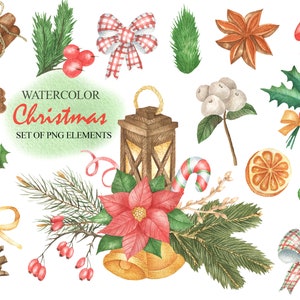 Clipart floreale di Natale inverno dell'acquerello, ClipArt di foglie e fiori di vacanza di Capodanno, cartolina di buon Natale PNG 35