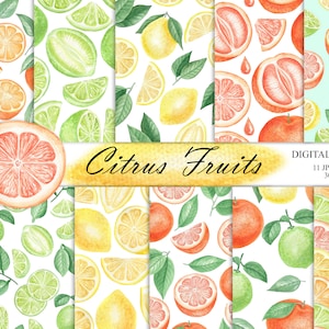 Acuarela Citrus Fruits Digital Paper, Limón, Lima, Naranja, Patrón sin costuras de pomelo, Patrón de frutas tropicales de verano, Álbum de recortes JPG 07