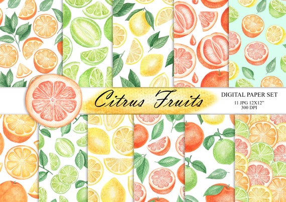 PATTERNS Lemons and Oranges Stained Glass Patterns Digital