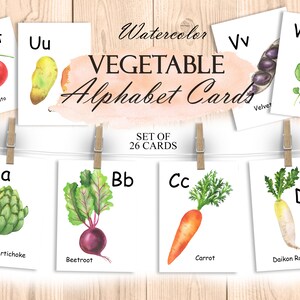 Acuarela Alfabeto Vegetal ABC Card, Letras de Aprendizaje, Tarjetas Flash Montessori Imprimibles, Tarjetas de Aprendizaje ABC, Guardería PNG 262