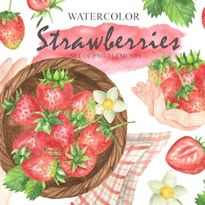 Aquarell Erdbeere Clipart, Berry ClipArt, Sommer Erdbeere Clipart, frisches Obst, kommerzielle Nutzung, von Hand bemalt PNG 151