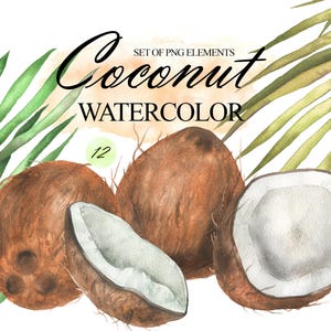 Imágenes prediseñadas de coco de acuarela, hojas de coco, imágenes prediseñadas de frutas tropicales de verano, hojas de palma de playa, imágenes prediseñadas de frutas exóticas frescas, PNG 389