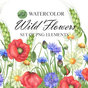 Wildflowers clipart, Watercolor meadow flowers poppies, daisies, cornflowers clip art, Summer wildflower, Floral, Wedding invitation PNG 349