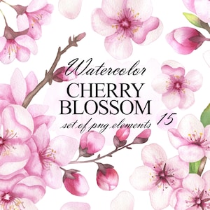 Cherry blossom watercolor clip art, Spring floral clipart, Pink sakura flowers, Wedding Invitation, Scrapbooking, Easter Set PNG 385